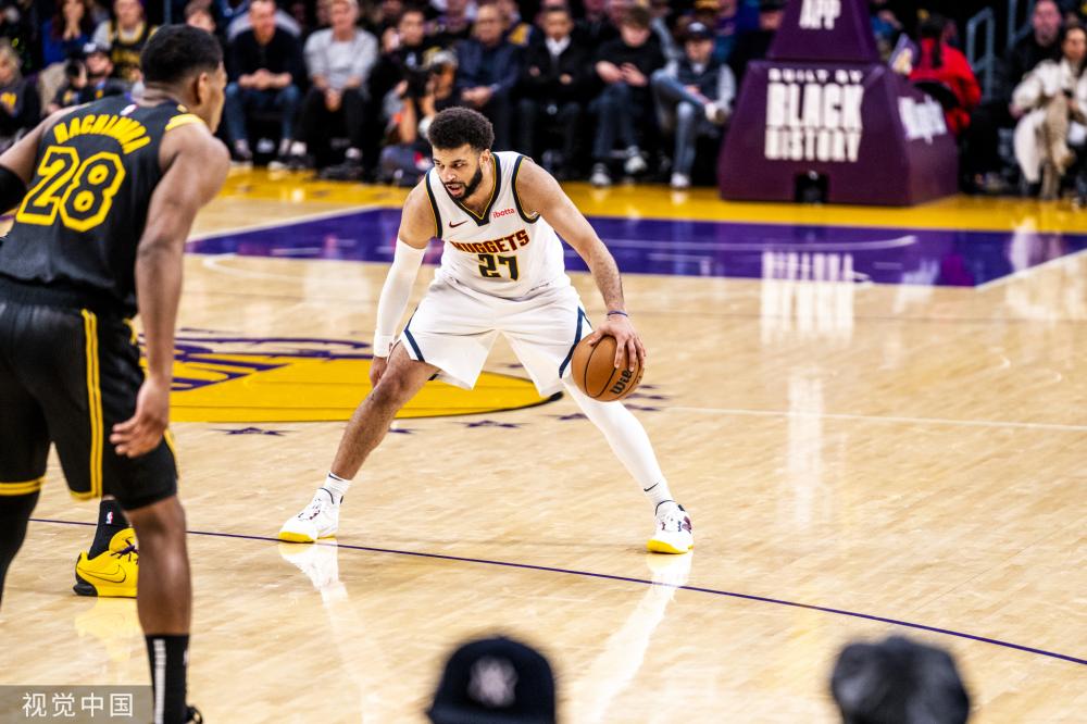 森林的未来 森林的未来